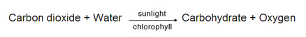 Image of chemical equation