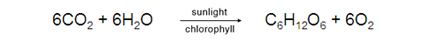 Image of chemical equation