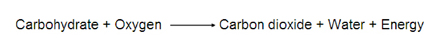 Image of chemical equation