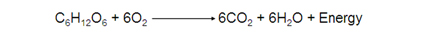 Image of chemical equation