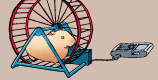 Hamster phone charger image